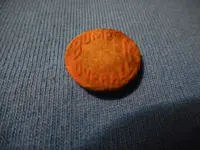 DSCN0071.webp