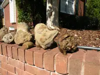All rocks.webp