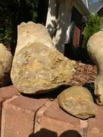 rocks one.webp rocks one.webp