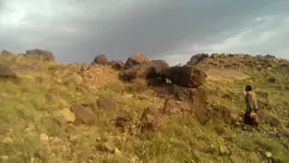 VIDEO0110_٠٠٠٠٠٠١٨٦٧.webp