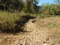 creek bed rocks.webp