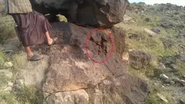 VIDEO0110_٠٠٠٠٠٠٠٤٦٧.webp