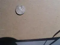 Nazi coin at the park 003 (Custom).webp