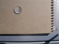 Nazi coin at the park 004 (Custom).webp