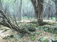 100_3424.webp