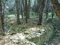 100_3426.webp