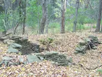 100_3419.webp
