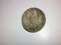eagle coat.webp