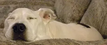 DSCN5938.webp