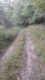 path.webp