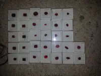 ATT_1411049978720_20130603_175638.webp
