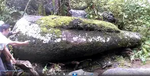 image-3552900719.webp