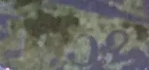 image.webp