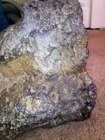 image.webp