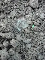 b.LC dirt.webp