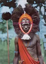 masaiwarrior.webp