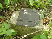 P9290256.webp P9290256.webp
