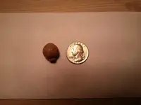 20141010_232434.webp
