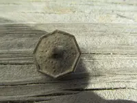 button back.webp
