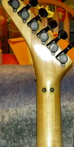 DSCN5477.webp