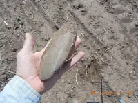 DSCN3797.webp