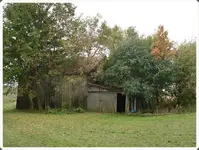 SDC19789.webp