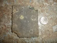DSC09473.webp