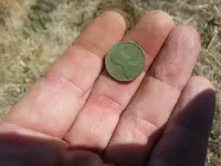 1941S Wheat.webp