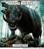 boar pic.webp