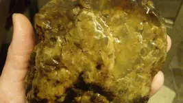 125_3050.webp