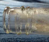 2 CL7 100914 Clr Bottle Neck.webp