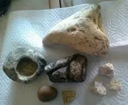 10717789_898071556877921_271543606_n creek finds.webp