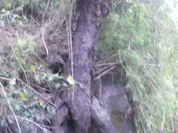DSCN7170.webp