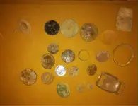 image-3644688740.webp