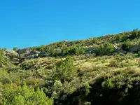fremont site 4.webp