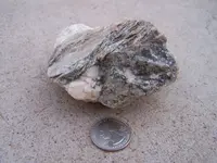 100_4137.webp