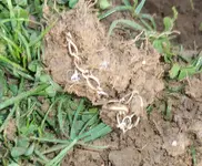100_2918 (1).webp