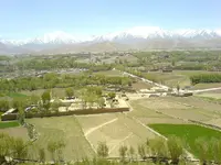 10145514.webp