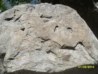 SAM_0620.webp