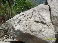 SAM_0621.webp