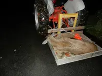 DSCN0662.webp
