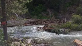 20140812_170733.webp