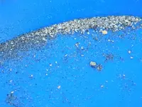 Cold water gold 009.webp
