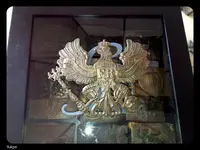 rsz_ptak_nr19.webp