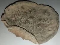 Plate Cropped.webp