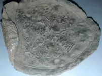 Plate Cropped2.webp