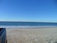 surf fishing.webp