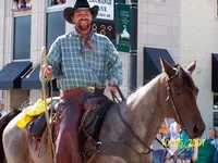 100_9411.webp