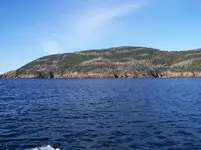 arriving dive site.webp