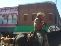 cattledrive1.webp